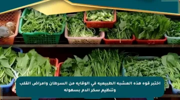 اختبر قوة هذه العشبة الطبيعية في الوقاية من السرطان وأمراض القلب وتنظيم سكر الدم بسهولة